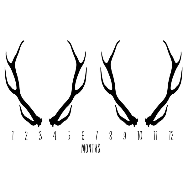 ANNIVERSARY BLANKET - ANTLERS for TWINS - Dotboxed