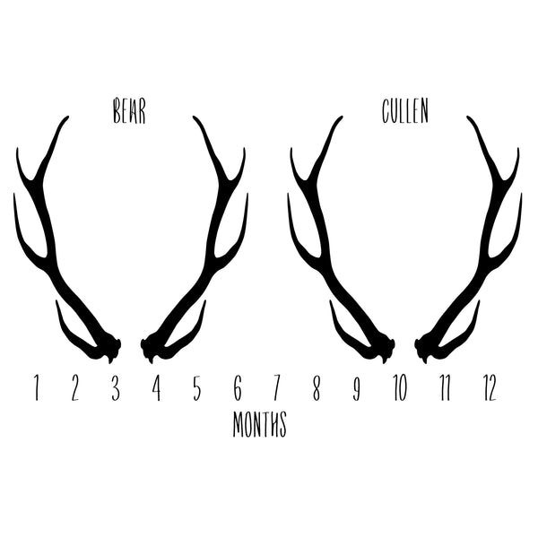 ANNIVERSARY BLANKET - ANTLERS for TWINS - Dotboxed